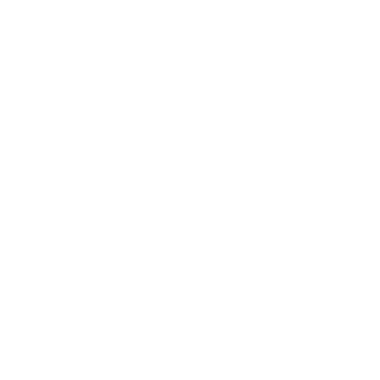 Iphone SV